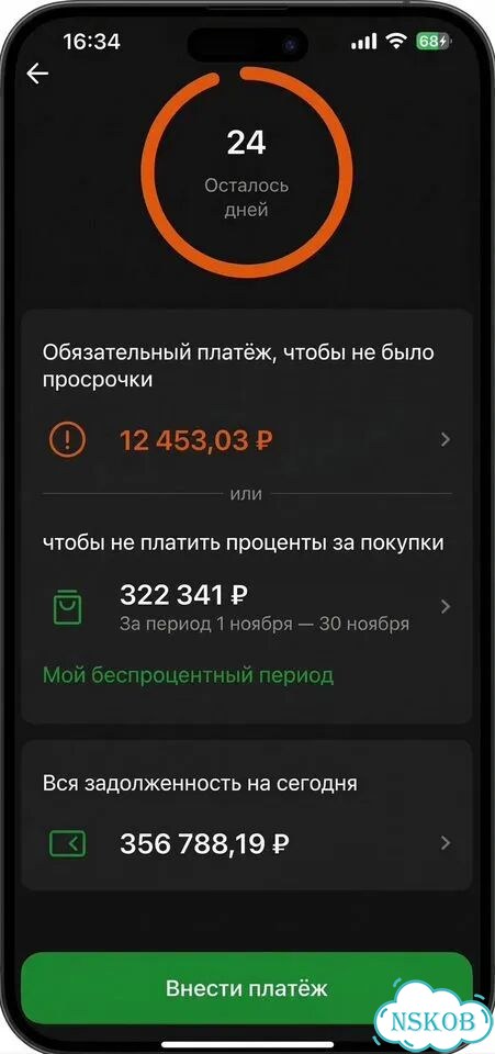 Оставлю без кредитки Сбер и Т-Банк фото 4