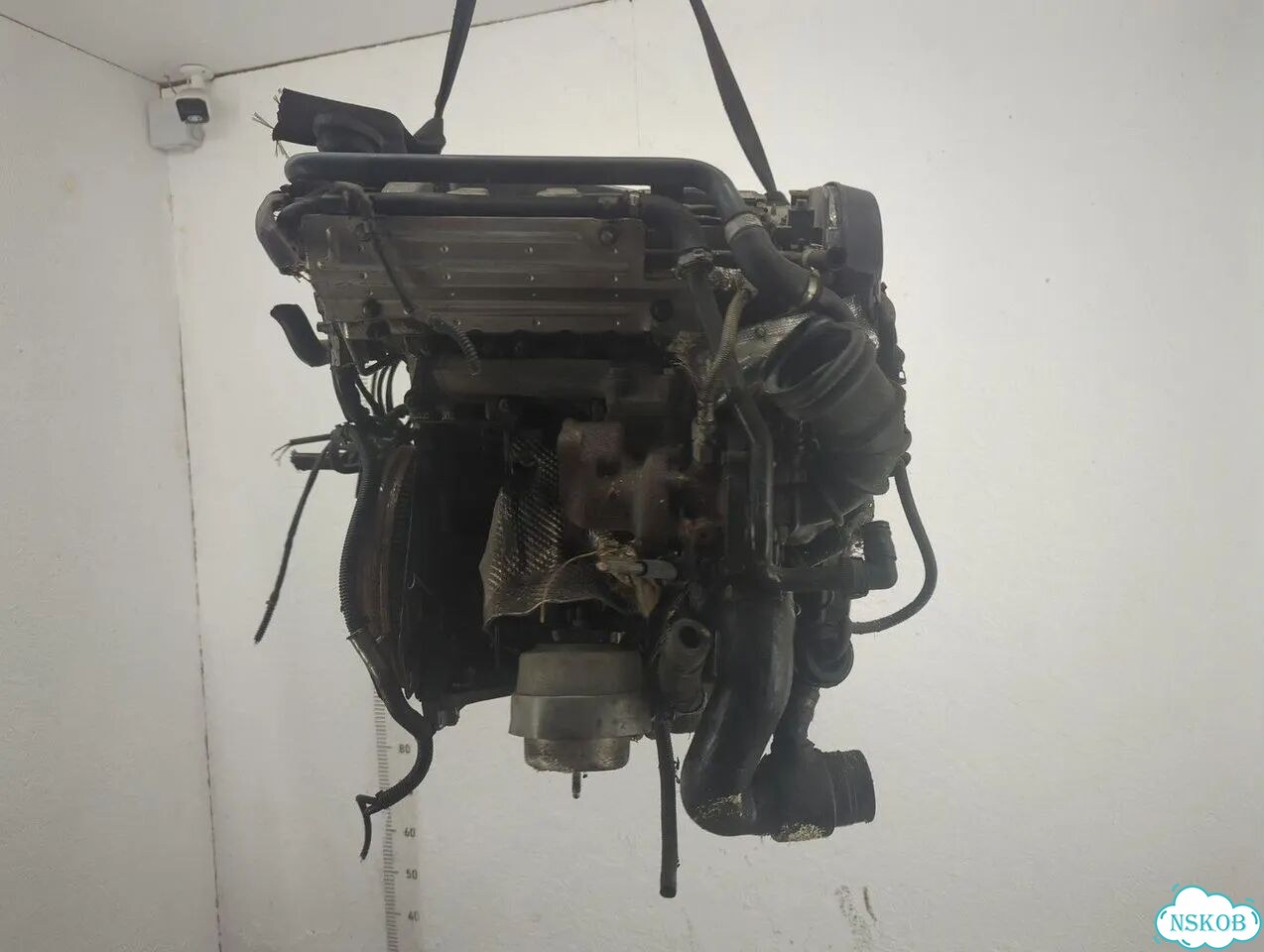 Двигатель Audi A4 (B6) BFB фото 2