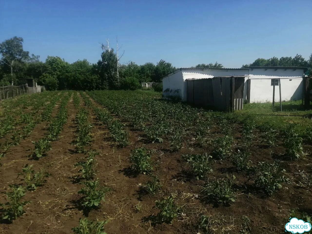 3-к. квартира, 79,5 м², 1/1 эт. фото 16