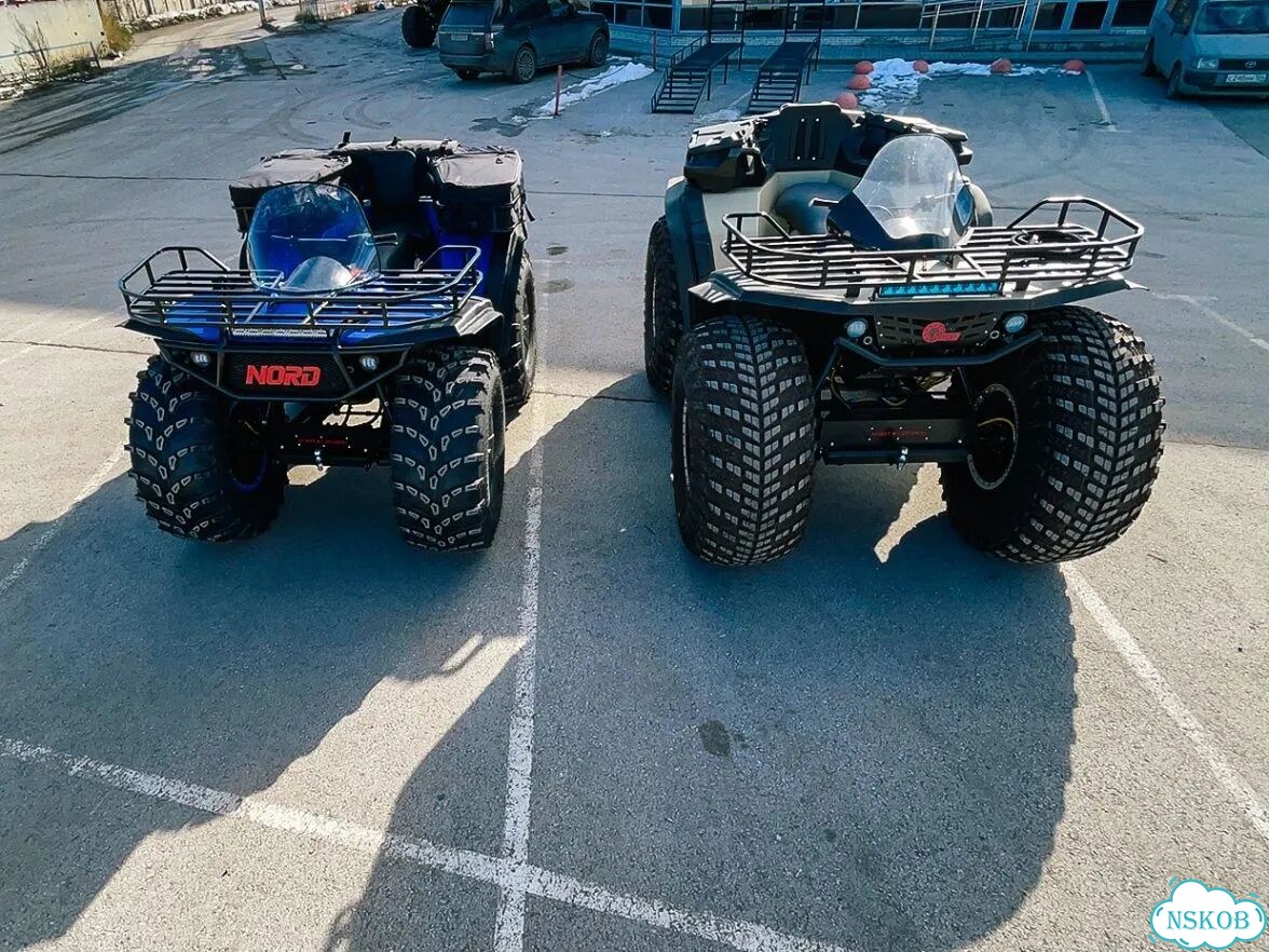 Тёлки фото 19